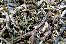 紅茶の葉