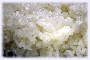 �����オ����������