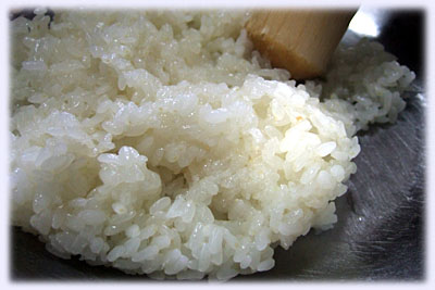 ���肱���ł�