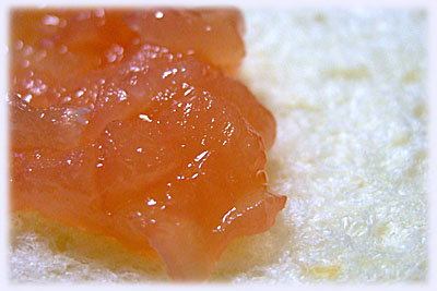 �Ƃ��Ƃ����W����