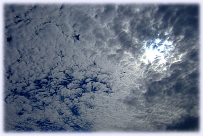 ���낱�_�H